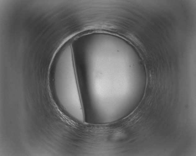X0000054371020200507290825