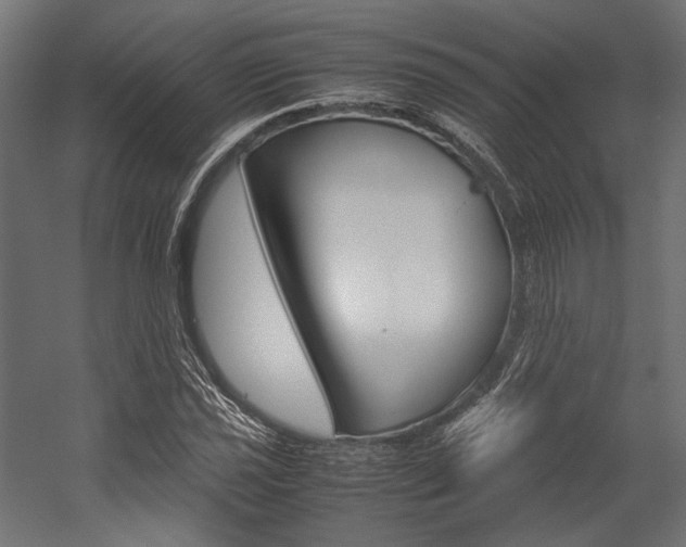 X0000054371021200507290825