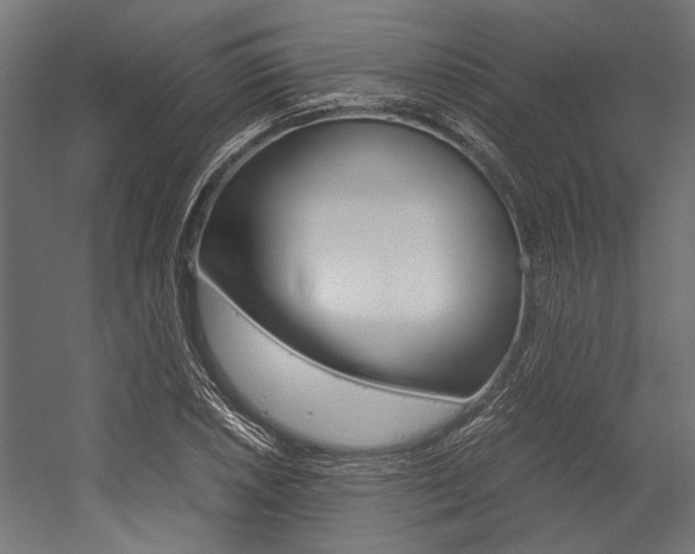 X0000054371026200507290825