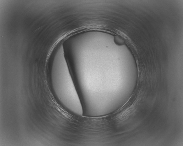 X0000054371027200507290825