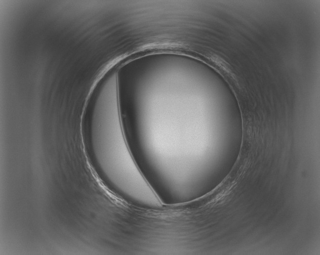 X0000054371030200507290825