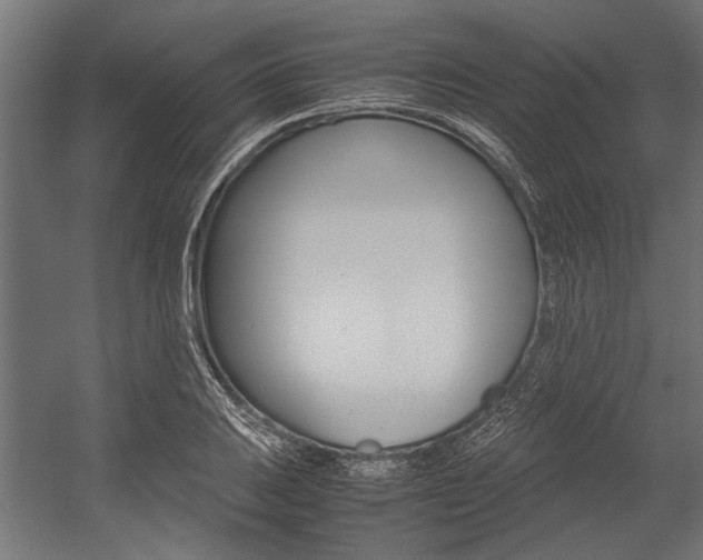 X0000054371031200507290825