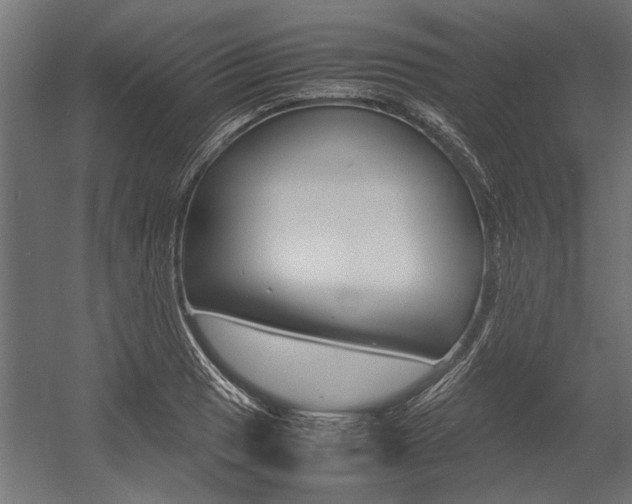 X0000054371033200507290825