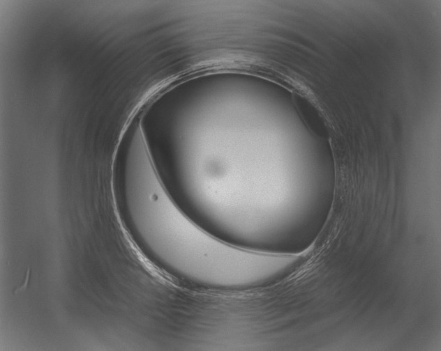 X0000054371034200507290825