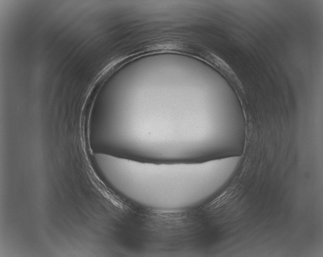 X0000054371035200507290825