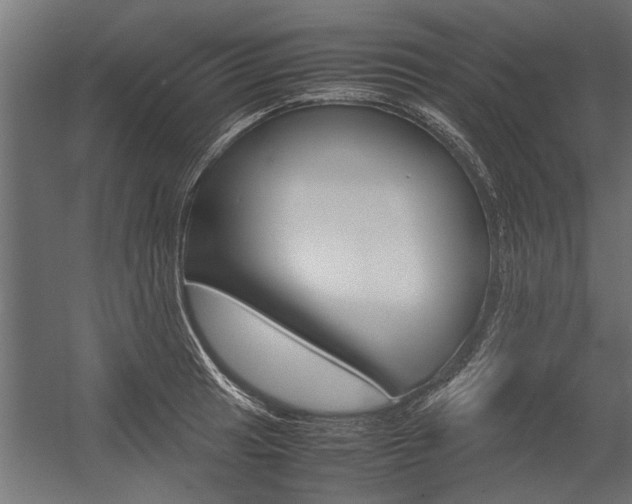 X0000054371041200507290826