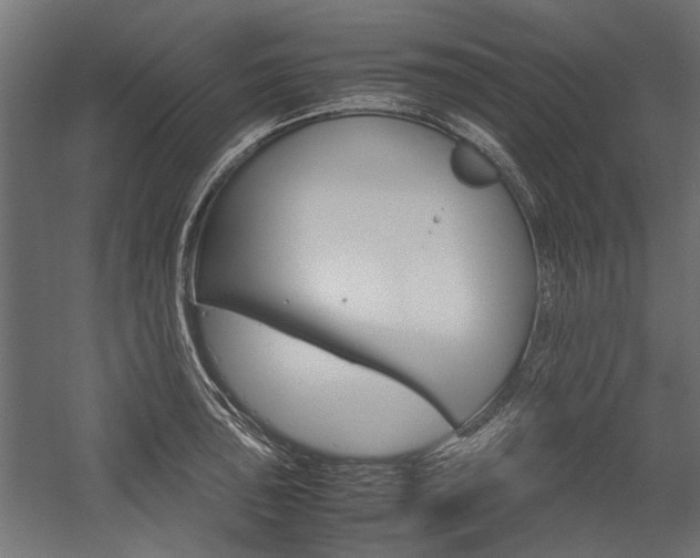 X0000054371043200507290826