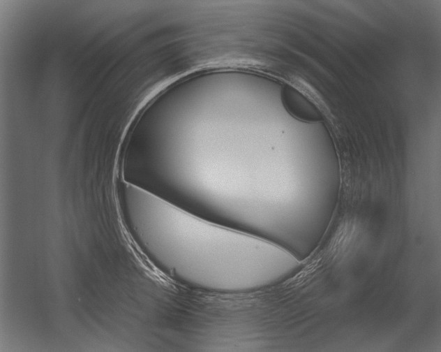 X0000054371044200507290826