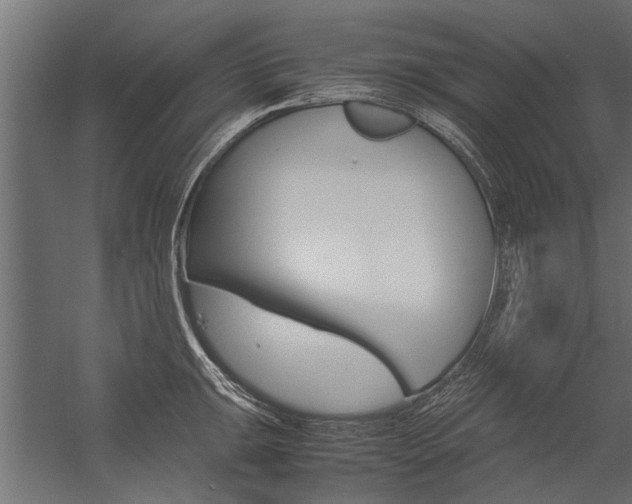 X0000054371047200507290826