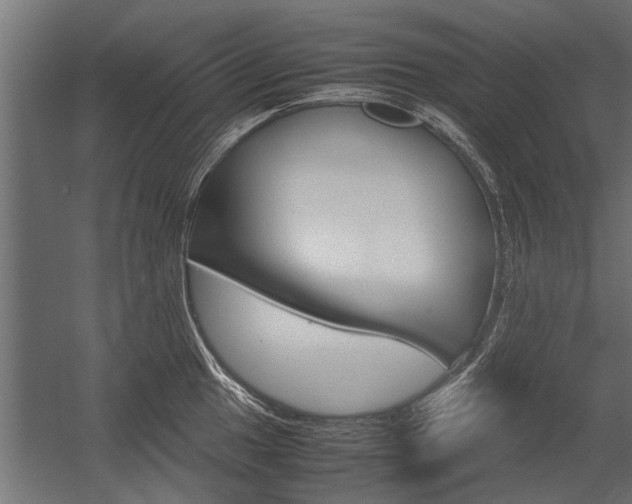 X0000054371049200507290826