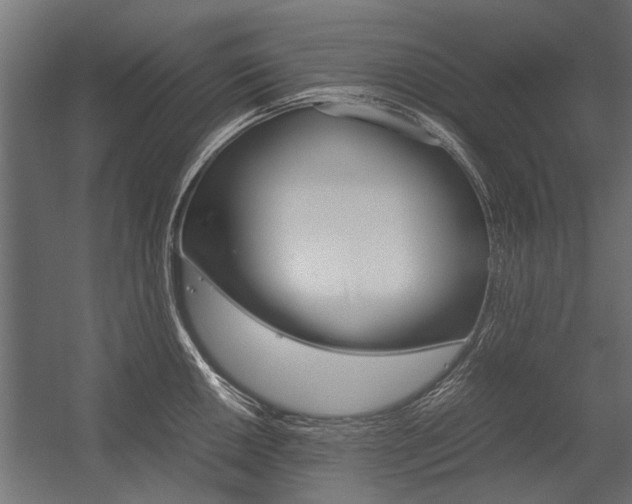 X0000054371050200507290826