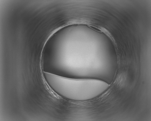 X0000054371052200507290826