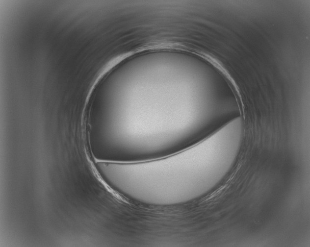 X0000054371053200507290826