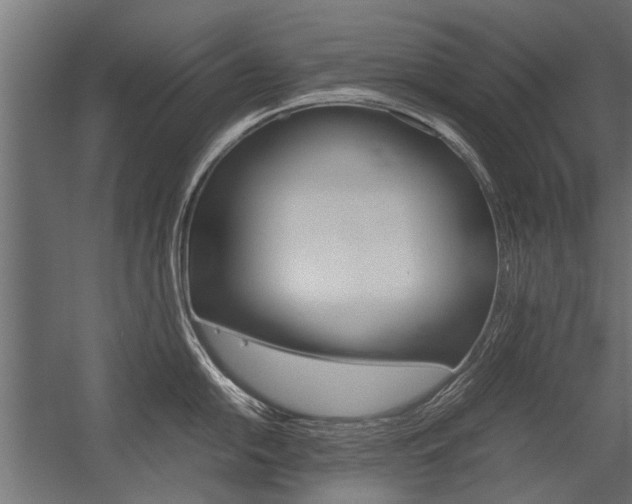 X0000054371054200507290826
