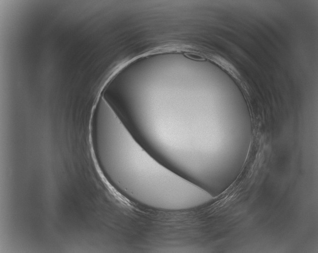 X0000054371055200507290826