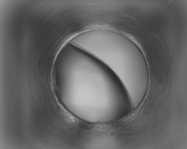 X0000054371056200507290826