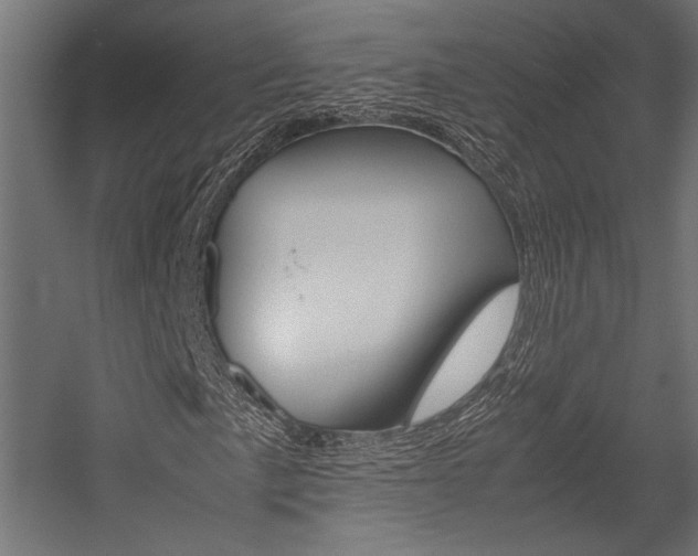X0000054371057200507290825