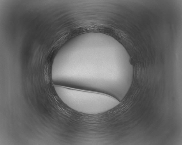 X0000054371060200507290825