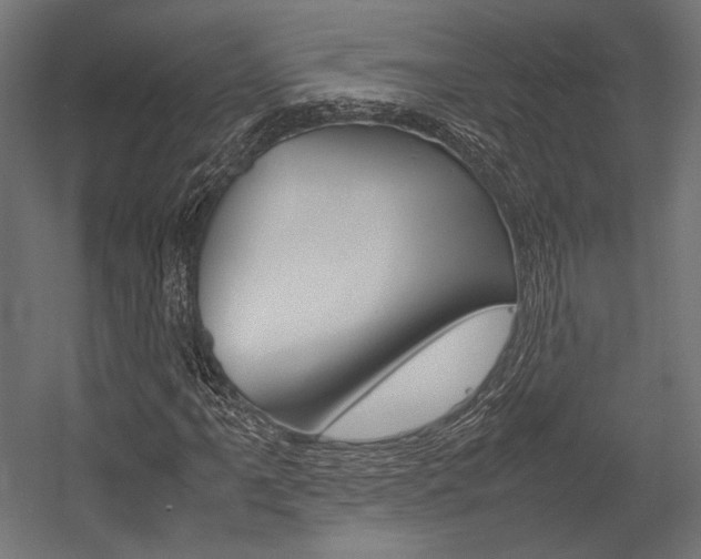 X0000054371061200507290825