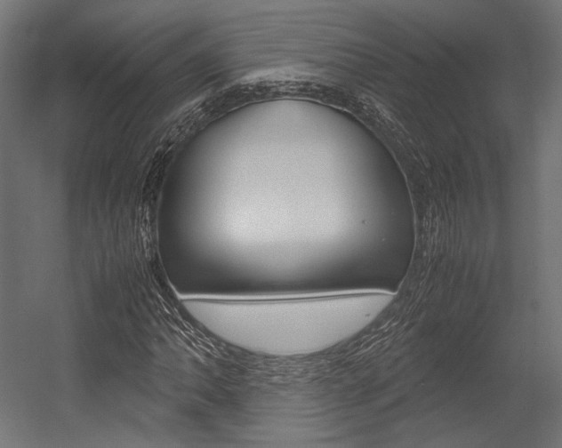 X0000054371062200507290825