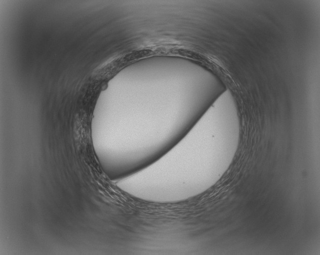 X0000054371063200507290825