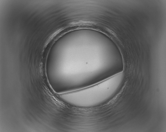 X0000054371066200507290825