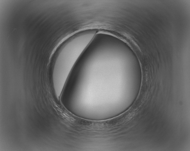 X0000054371069200507290825