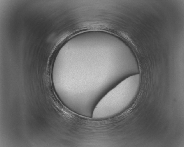 X0000054371071200507290825