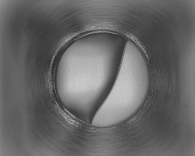 X0000054371072200507290825