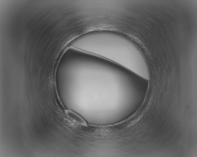 X0000054371073200507290825