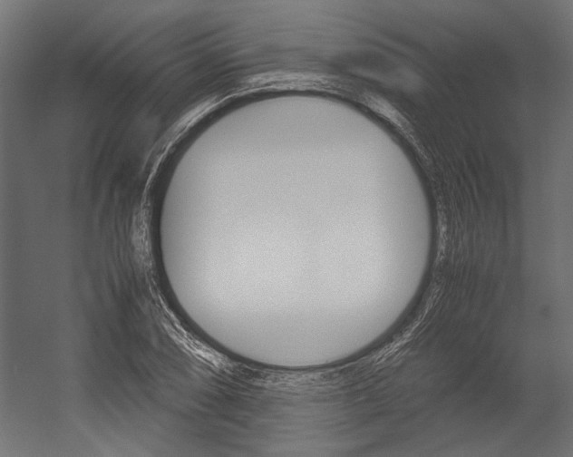 X0000054371074200507290825