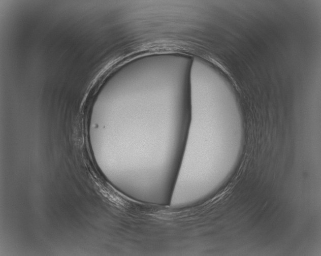 X0000054371075200507290825