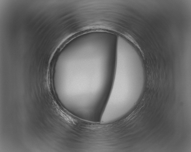 X0000054371076200507290825