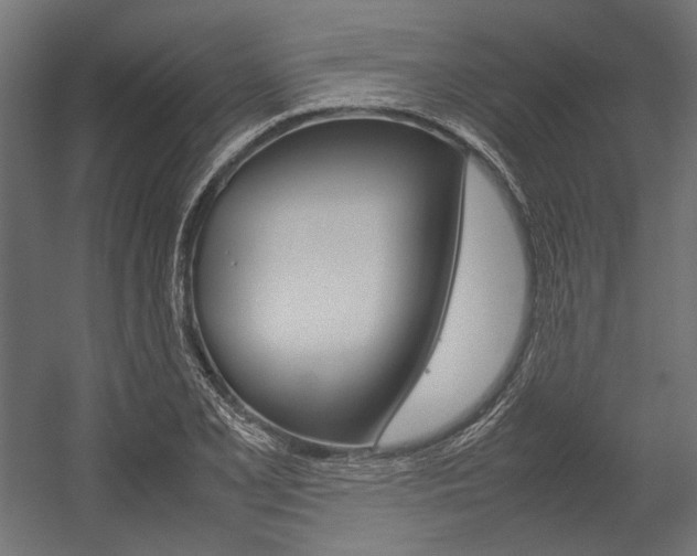 X0000054371077200507290825
