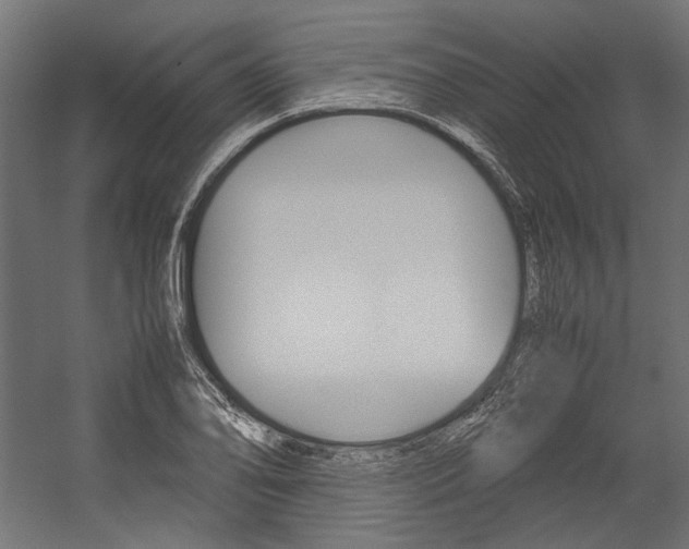 X0000054371078200507290825