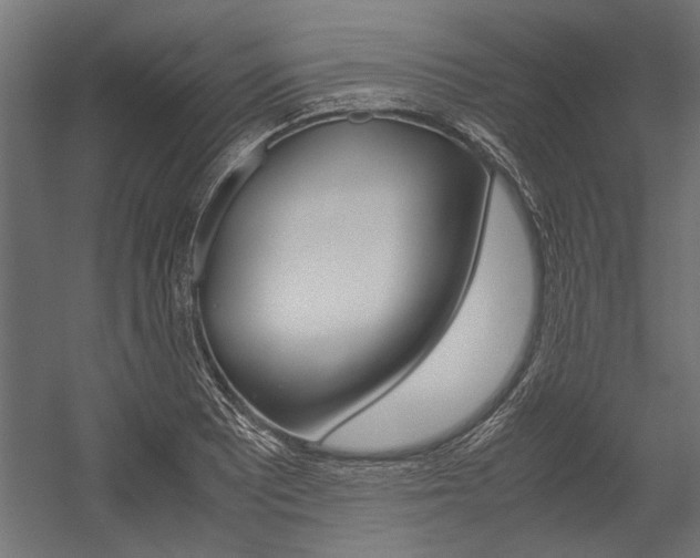 X0000054371081200507290825