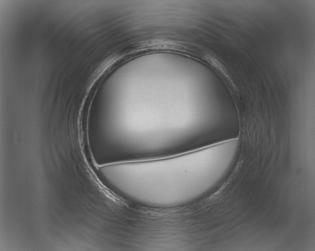 X0000054371082200507290825