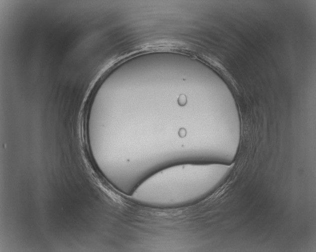 X0000054371083200507290825