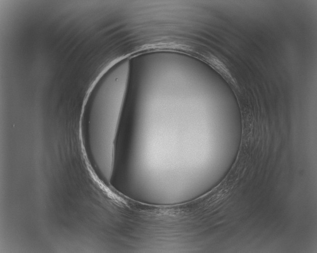 X0000054371084200507290825