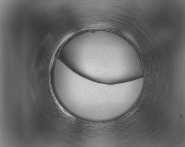 X0000054371087200507290824