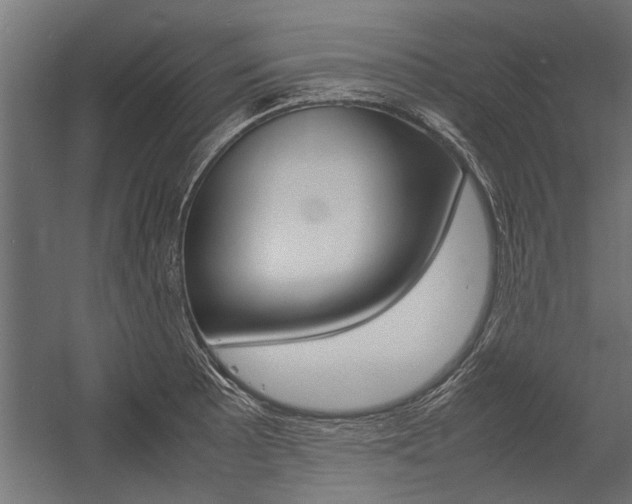 X0000054371089200507290824