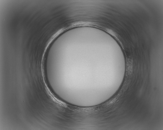 X0000054371090200507290824