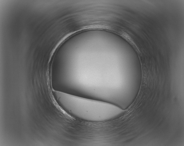 X0000054371092200507290824