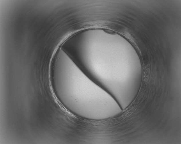 X0000054371096200507290824