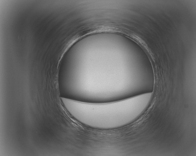 X0000054371097200507290824