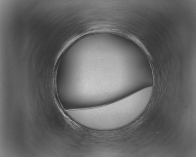 X0000054371101200507290824