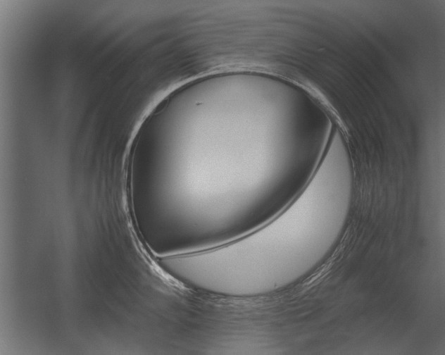 X0000054371102200507290824