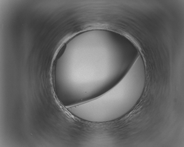 X0000054371104200507290824