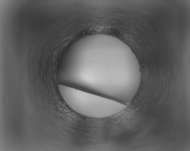X0000054371105200507290823