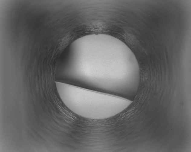 X0000054371106200507290823